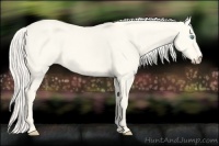 Horse Color:Cremello Dun 