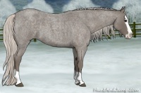 Horse Color:Silver Blue Roan Splash