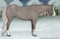 Horse Color:Silver Blue Roan Splash 
