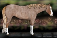 Horse Color:Red Roan Splash 