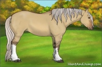 Horse Color:Silver Bay Dun