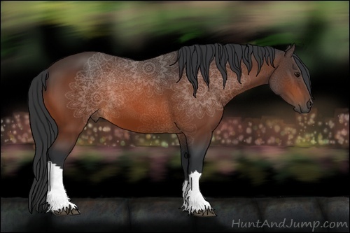 Horse Color:Brown 