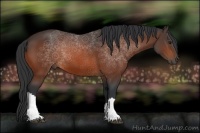 Horse Color:Brown 