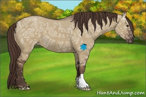 Horse Color:Liver Red Dun Ice 