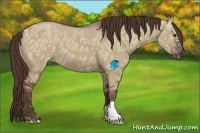 Horse Color:Liver Red Dun Ice 