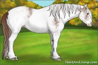 Horse Color:White Spotted Chestnut Ice 