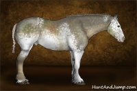 Horse Color:White Spotted Chocolate Palomino