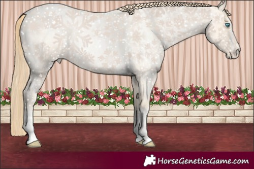 Horse Color:Buckskin Roan Pearl  and Buckskin Roan Pearl 
