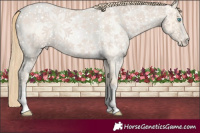 Horse Color:Buckskin Roan Pearl and Buckskin Roan Pearl