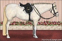 Horse Color:Buckskin Roan Pearl  and Buckskin Roan Pearl 