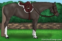 Horse Color:Liver Chestnut 