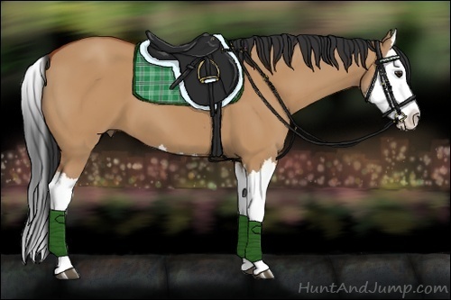 Horse Color:Bay Dun Splash 