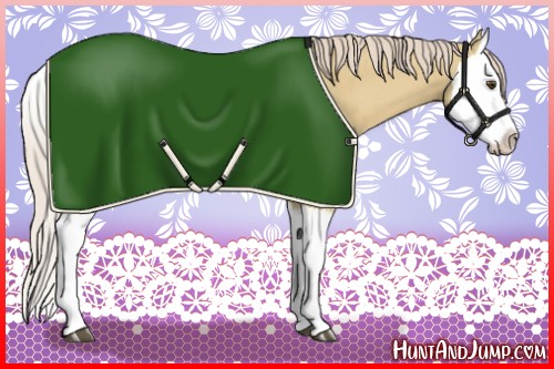 Horse Color:Palomino Dun Splash 