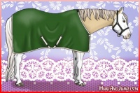 Horse Color:Palomino Dun Splash 