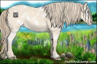 Horse Color:White Spotted Chocolate Perlino 