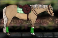 Horse Color:Silver Bay Dun 