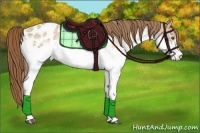 Horse Color:White Spotted Buckskin Dun Blanket