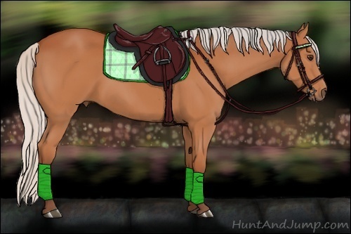 Horse Color:Silver Bay
