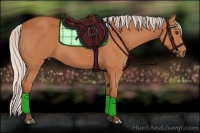 Horse Color:Silver Bay 