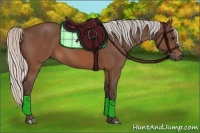 Horse Color:Silver Brown 