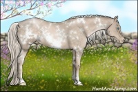 Horse Color:White Spotted Chocolate Palomino Pearl 