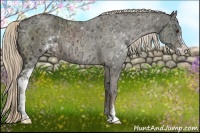 Horse Color:Chocolate Palomino Ice Sabino