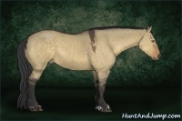 Horse Color:Buckskin Dun Sabino