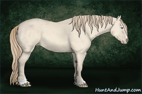 Horse Color:Perlino Dun Sabino 