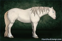 Horse Color:Perlino Dun Sabino