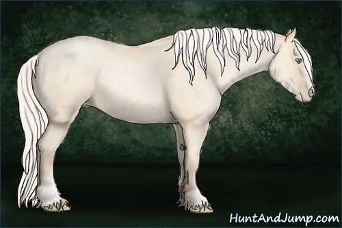 Horse Color:Silver Sable Cream Champagne Pearl Sabino