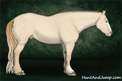 Horse Color:Chocolate Perlino Dun Sabino Rabicano 
