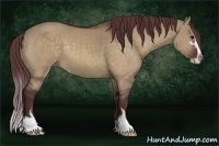 Horse Color:Chocolate Brown Dun Sabino 