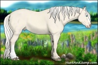 Horse Color:Cremello Dun 
