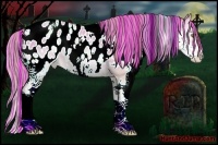 Horse Color:Painted White Spotted Sable Champagne Pearl Onyx Splash Blanket