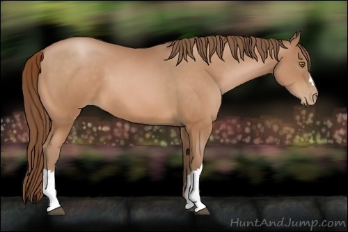 Horse Color:Brown Pearl 