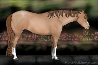 Horse Color:Brown Pearl 