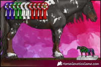 Horse Color:White Spotted Liver Chestnut 