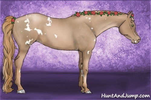Horse Color:White Spotted Liver Red Roan Pearl 