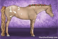 Horse Color:White Spotted Liver Red Roan Pearl 