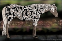 Horse Color:Silver Black Near Leopard 