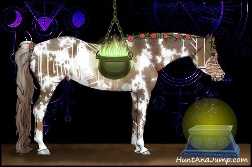 Horse Color:White Spotted Liver Chestnut Rabicano 