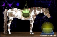 Horse Color:White Spotted Liver Chestnut Rabicano 