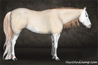 Horse Color:Buckskin Pearl Splash 