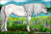 Horse Color:Gray Bay 