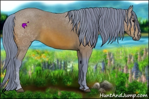 Horse Color:Watercolor Bay 