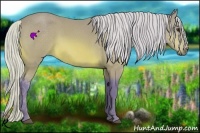 Horse Color:Watercolor Silver Bay
