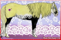 Horse Color:Watercolor Chestnut Splash 