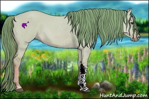 Horse Color:Watercolor Red Dun