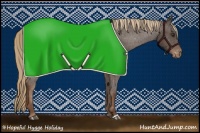 Horse Color:Liver Chestnut Appaloosa 