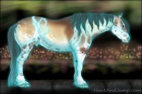 Horse Color:Thunderstruck Brown Onyx Splash